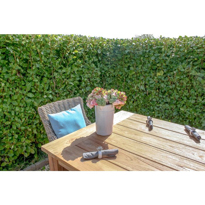 2m Reclaimed Teak Outdoor Open Slatted Table with 2 Backless Benches & 2 Donna Armchairs - 2