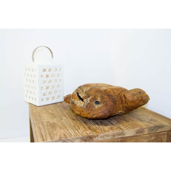 Reclaimed Teak Root Sculpture - Turtle - 6