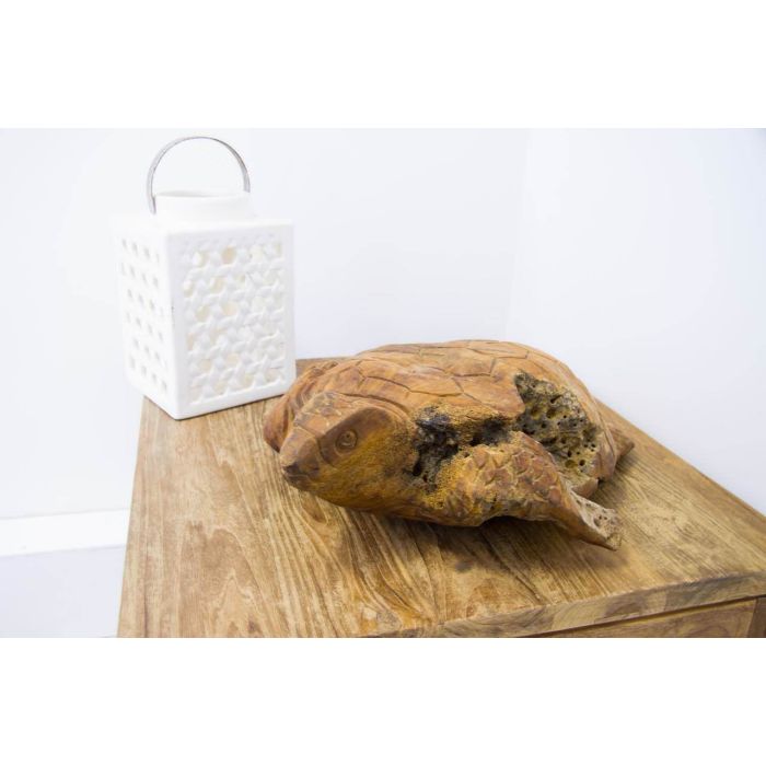 Reclaimed Teak Root Sculpture - Turtle - 5