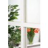 Aviron Wood Window Mirror - 1