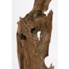 Reclaimed Teak Root Sculpture - 2 Sizes - 1