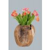 Reclaimed Teak Root Planter - 5