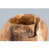 Reclaimed Teak Root Planter - 4